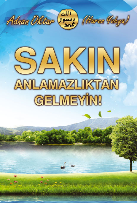 Sakın Anlamazlıktan Gelmeyin